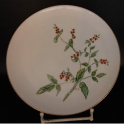 Set of 4 hand-painted botanical porcelain plates (20 cm in diametre), signed E.J. and dated 1961