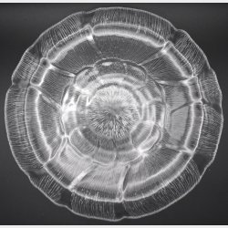 Vintage Frosted Glass Flower Bowl / Plate � Scandinavian Style � Textured Floral Design